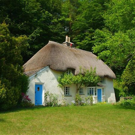 Lew Quarry Cottage Lewdown 외부 사진