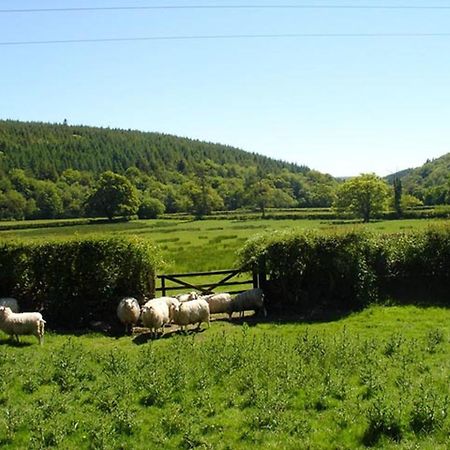 Lew Quarry Cottage Lewdown 외부 사진